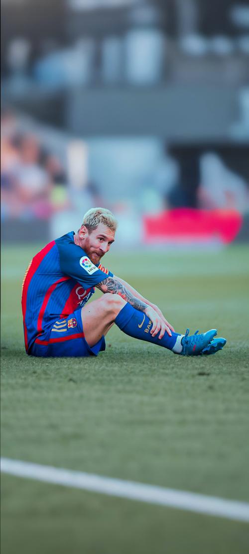 陈涛：我对新鹏城有很深的情感，但很多东西需要的是双向奔赴（陈涛：情系新鹏城，许多事还需双向奔赴）